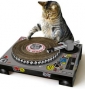 dj_pult_fuer_katzen_04