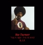 R.I.P._2008_5